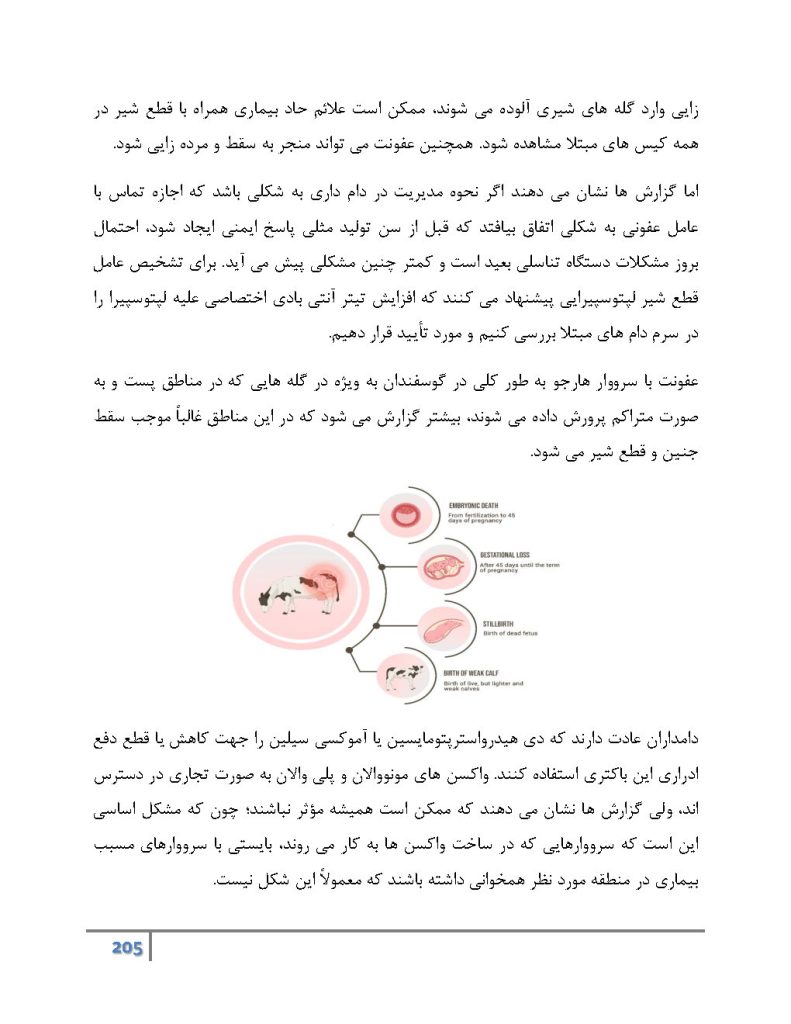 بیماری های باکتریایی دام