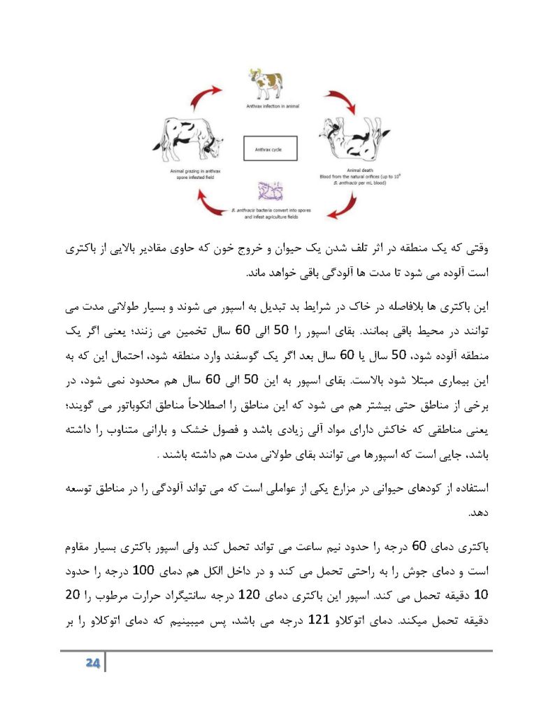 بیماری های باکتریایی دام