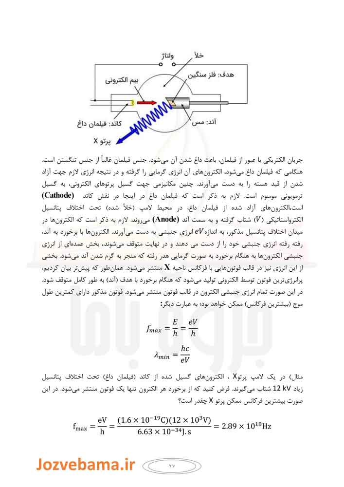 جزوه زیست شناسی پرتوی