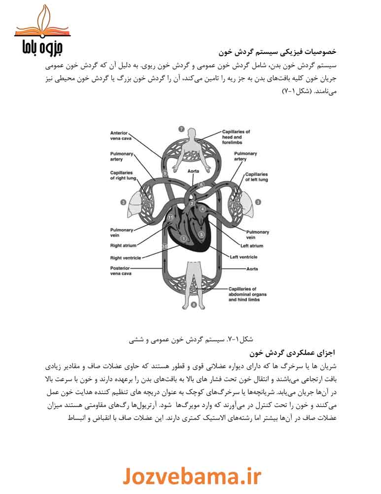 جزوه فیزیولوژی گردش خون 