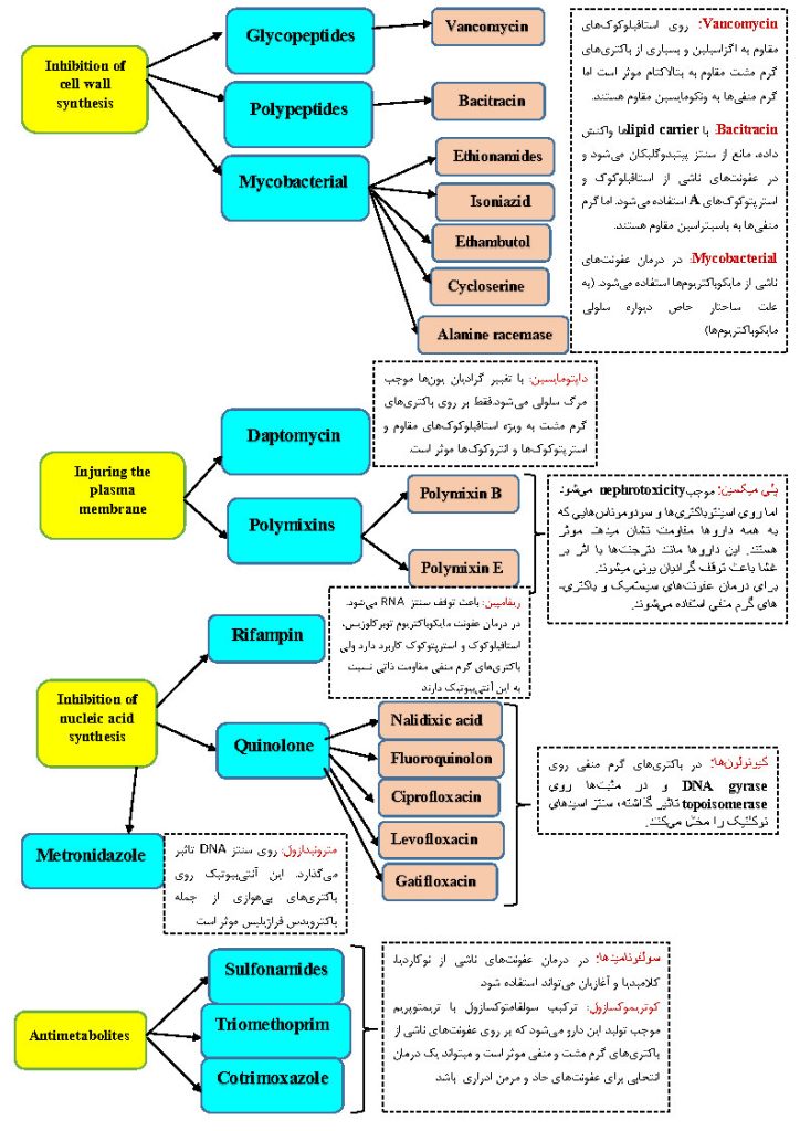 جزوه خلاصه آنتی بیوتیک