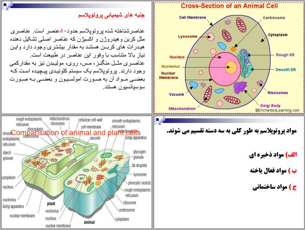 جزوه گیاه شناسی 1