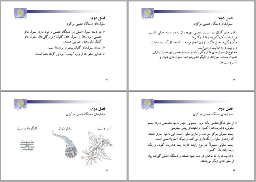 جزوه روانشناسی فیزیولوژیک