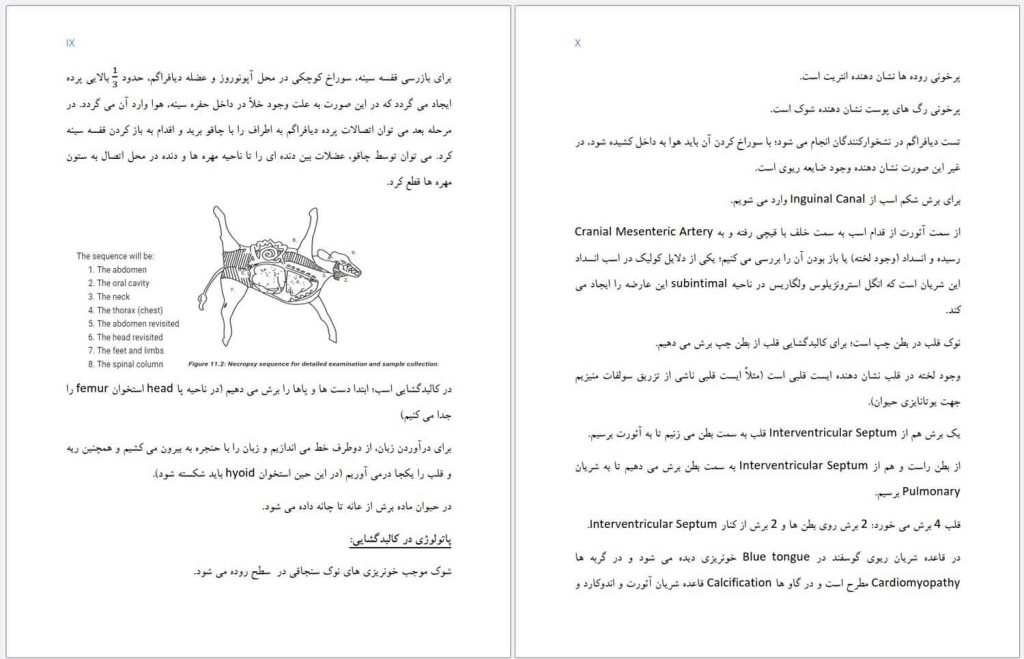 جزوه اصول کالبدگشایی و نمونهبرداری دامپزشکی