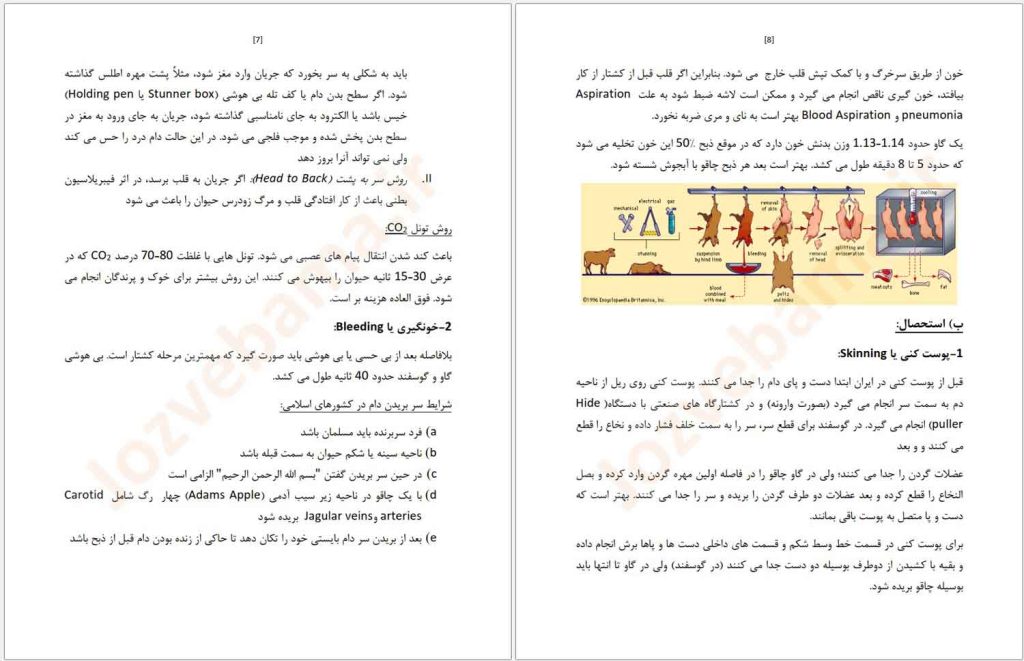 جزوه بهداشت و بازرسی گوشت